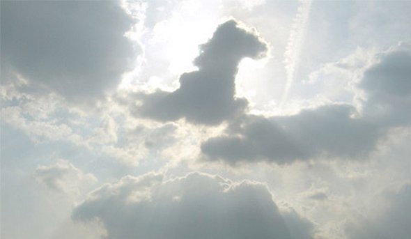Horse in the clouds